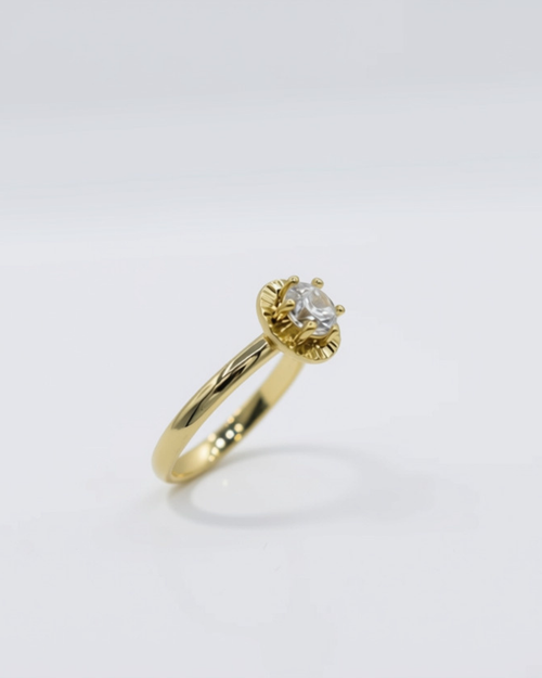 ANELLO DISK